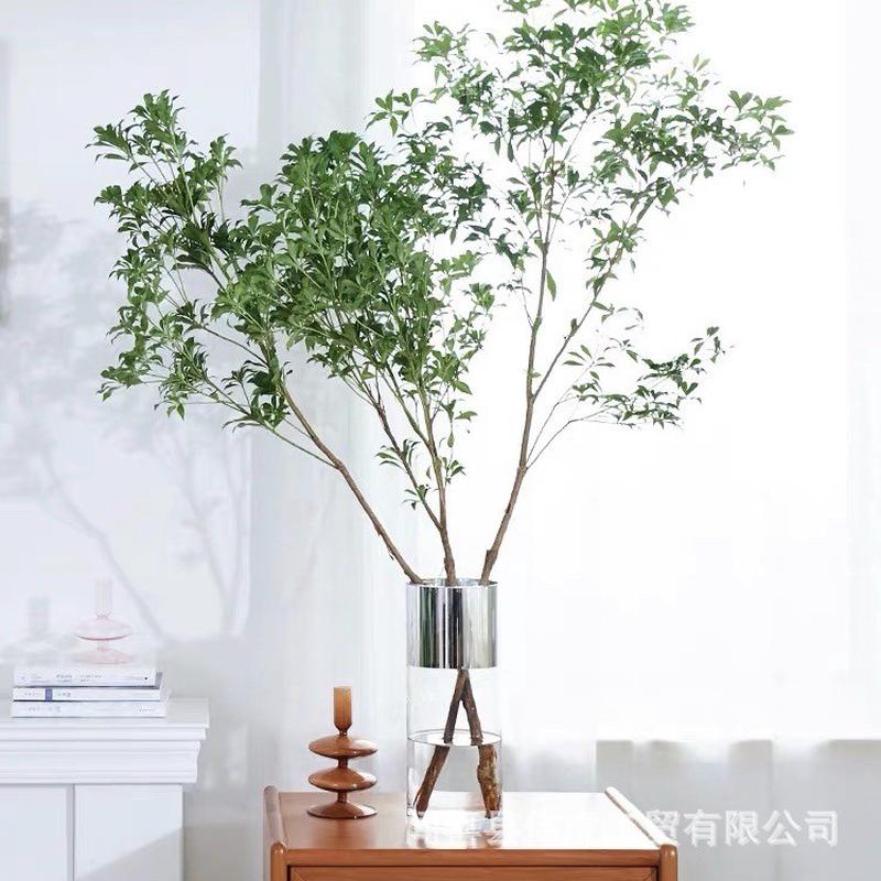 设计师欧美时尚简约镀银宽边直筒花瓶百合水竹水培花器摆件