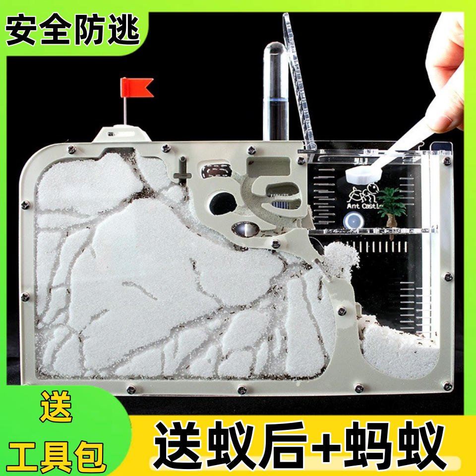 蚂蚁生态箱送蚁后免装大型观察盒超大号宠物饲养箱儿童家养城厂家