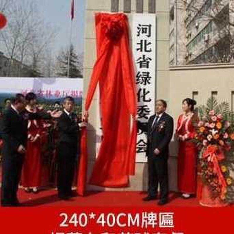 厂促厂促爆红绸布套餐幕布仪红布开业剪彩式牌匾大红色花揭仪道品,节庆用品/礼品,节庆布艺用品,淘宝优惠券,粉丝福利购,淘宝优惠卷