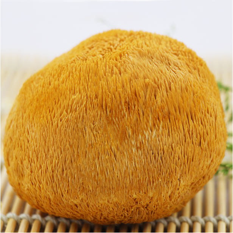 东北黑龙江猴头菇250克干货个大猴头蘑免费打粉两份包邮