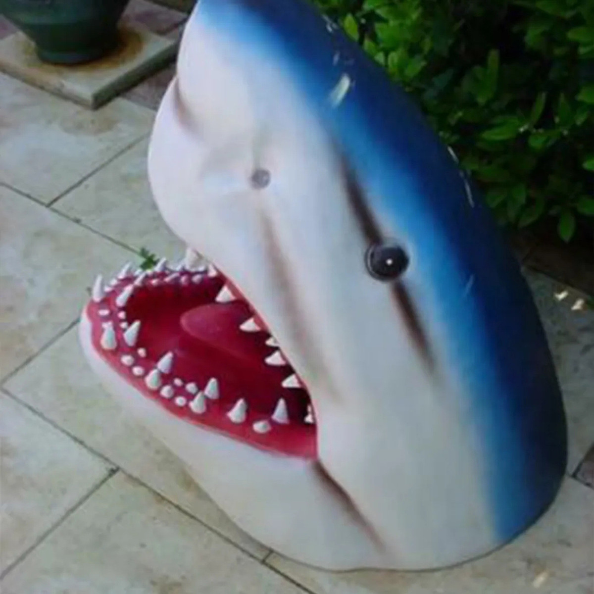 Great White Shark Garden Art鲨鱼摆件鲨鱼树脂摆件大白鲨艺术品