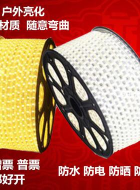 LED50502835柔性软灯带rgb灯条高压防水室内室外户外亮化彩色灯带