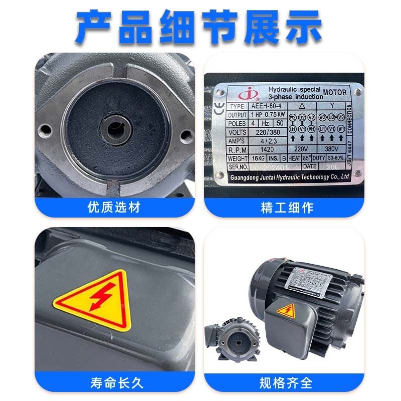 俊泰JUNTAI电机0.75KW 1.5 2.2 3.75 5.5 7.5泵站内插式油压电机