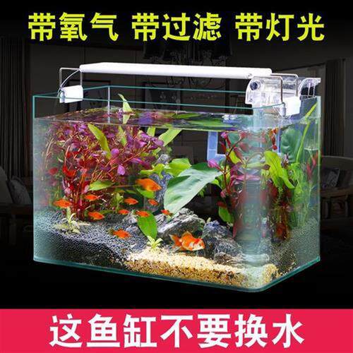 新款小鱼缸用客厅生态超白制氧增氧过滤电视柜旁懒人底滤水族箱