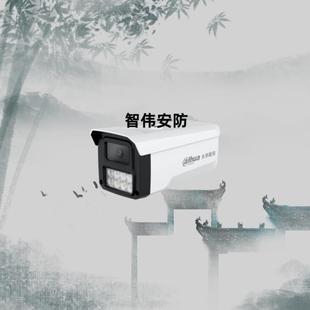 大华400万像素双光全彩网络高清摄像机 HFW1433B IPC IL4