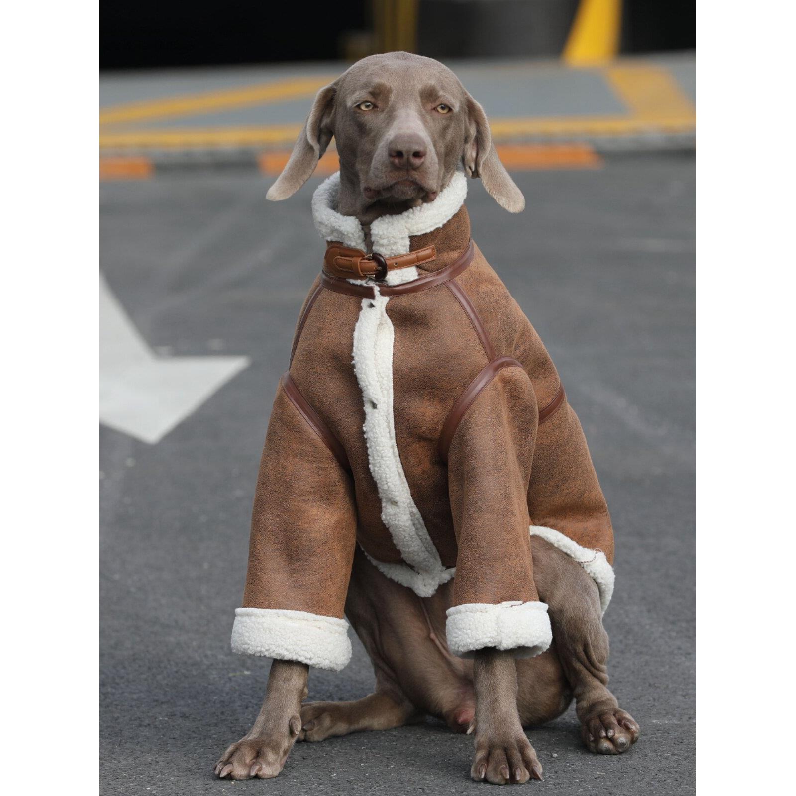 大型犬冬季保暖棉衣麂皮绒外套大狗拉布拉多边牧衣服帅气加厚保暖
