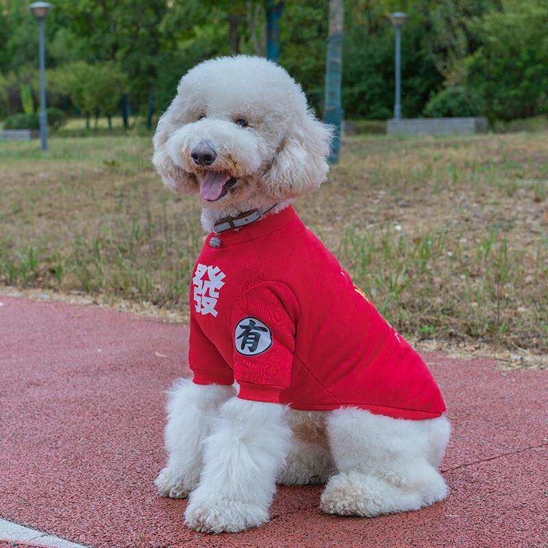 过年喜庆大型犬衣服狗狗卫衣秋冬装拉布拉多金毛萨摩巨贵宠物衣服