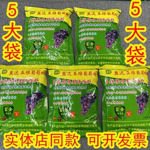 冀达五维葡萄糖 豆浆及其他饮料调匀后服用 5袋装 可与牛奶