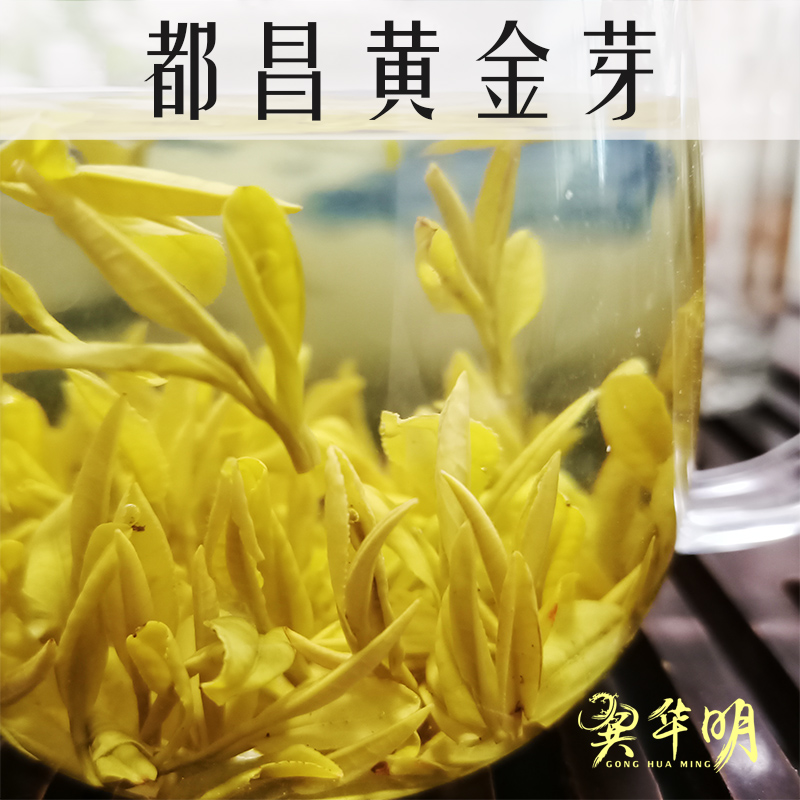 都昌黄金芽 礼盒 2025新茶 安吉优质甘甜白茶苏山高山茶 华明特产