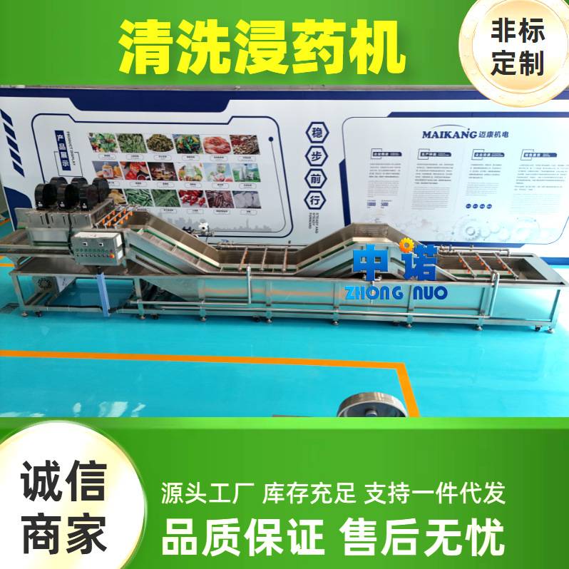 牙签芒清洗润药机 菠萝清洗浸泡机 芒果肉浸泡设备定制厂家