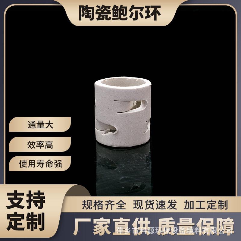 萍乡科源加工定制化工陶瓷散堆填料陶瓷鲍尔环耐酸填料鲍尔环