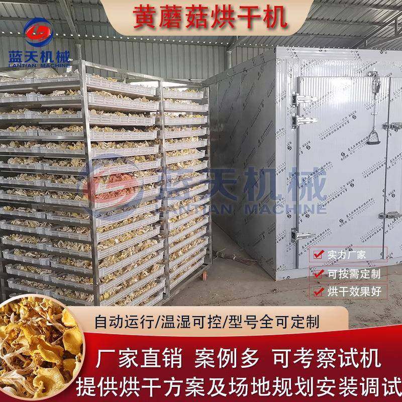 东北黄蘑菇烘干机 榆黄蘑全自动蘑菇烘烤机 大型小黄蘑元蘑烘干房