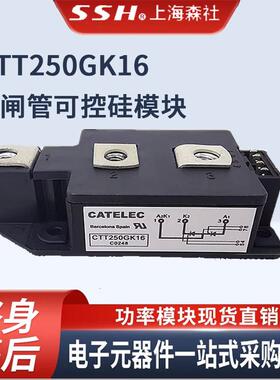 全新西班牙CATELEC晶闸管 可控硅模块 CTT250GK16 CTT320GK16 /18