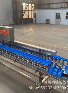 功能重量分多级设备选 水果丑EXU橘大小选果机 玉米果称重翻盘分