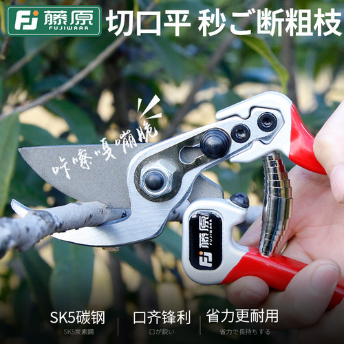 藤原剪枝剪刀园艺剪树枝果树果枝修枝剪园林花艺强力省力粗枝剪子