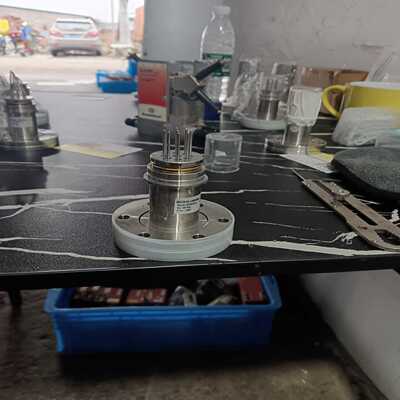 询价英福康InficonBPG400354-491真空计探头