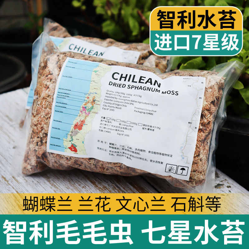 水苔蝴蝶兰专用土智利水苔进口新西兰5a水苔兰花文心兰七星毛