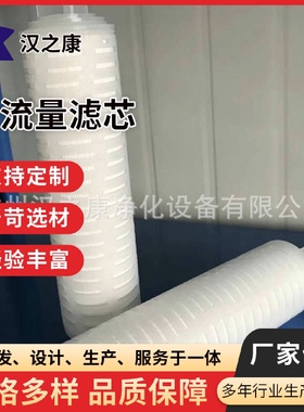 过滤器PVDF膜折叠芯片裙边折叠芯片微孔膜滤芯PTFE除菌滤芯