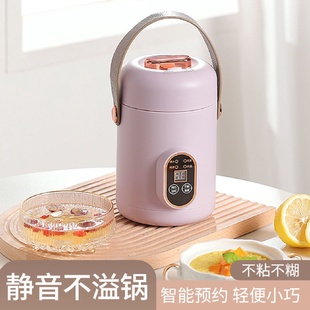 煮粥神器煲汤熬粥电炖杯 小电炖家用多功能辅食锅电炖盅迷你便携式