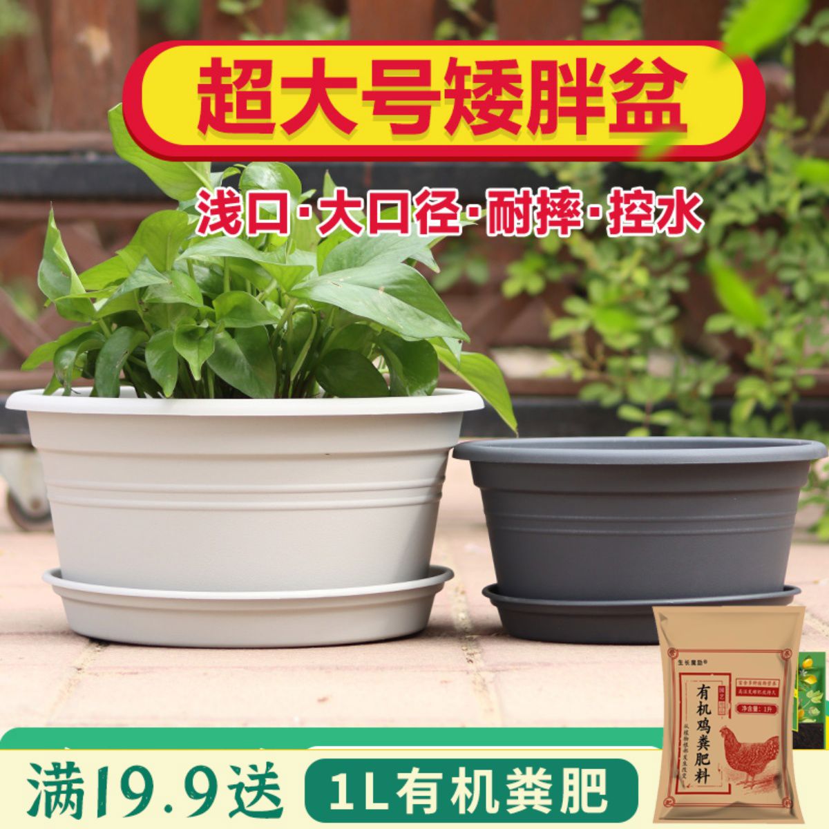 霍伦盆圆形树脂矮花盆大口径球根绣球兰花种植塑料盆花卉植物