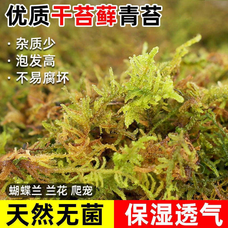 干青苔水苔纯天然苔藓兰花植料蝴蝶兰石斛种植专用土爬宠乌龟