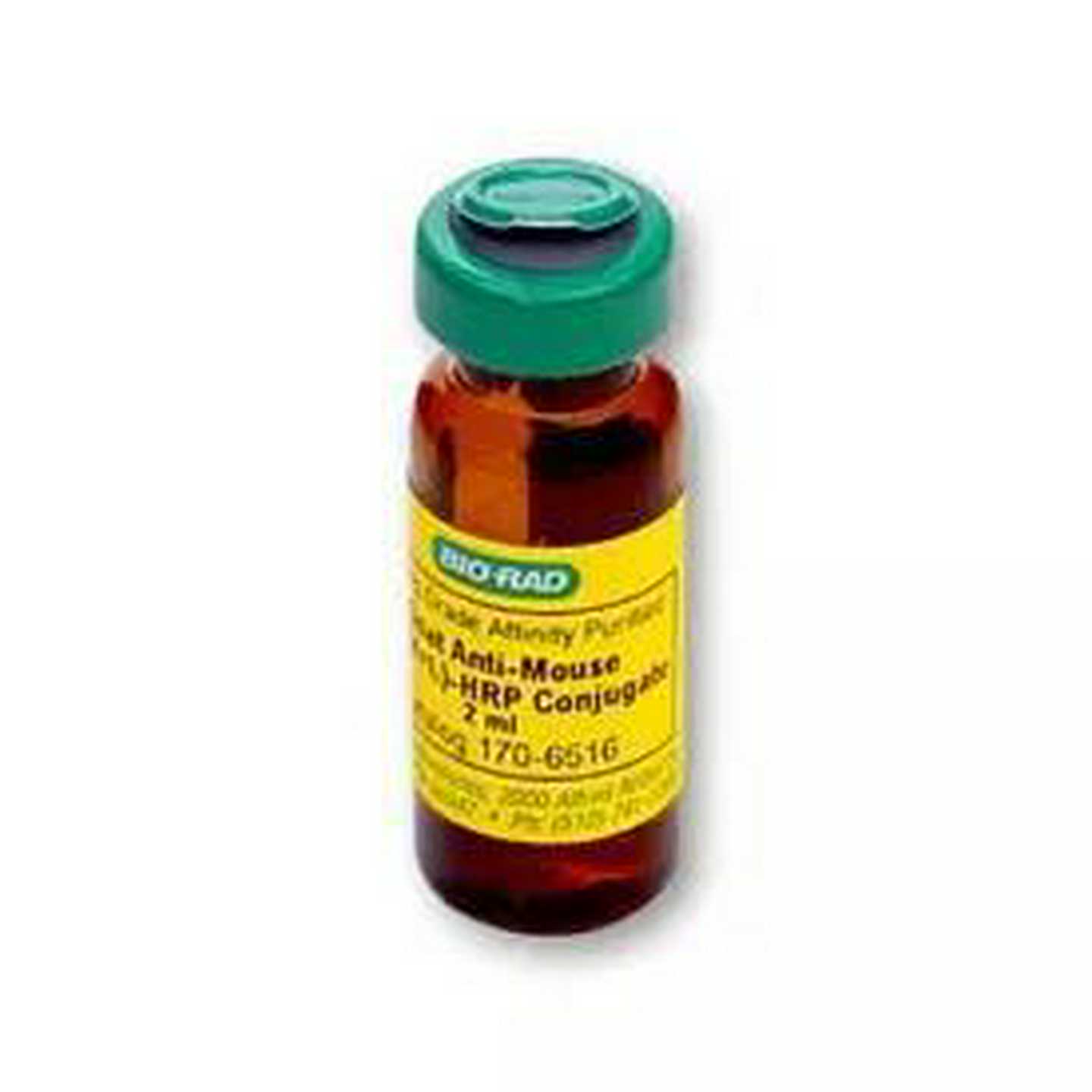 B-R1708897ScptSelect cDNA Synthess Kt合成试