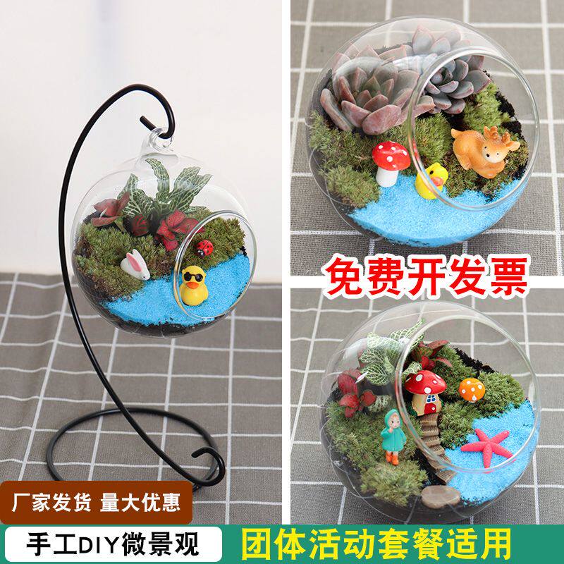 【暖场活动】创意苔藓微景观diy材料包 生态瓶子多肉摆件礼