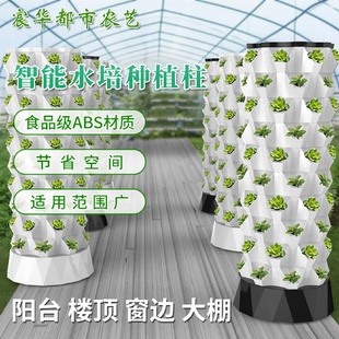 水培种植机家庭楼顶阳台大棚无土栽培多层种植机 智能种菜机立式