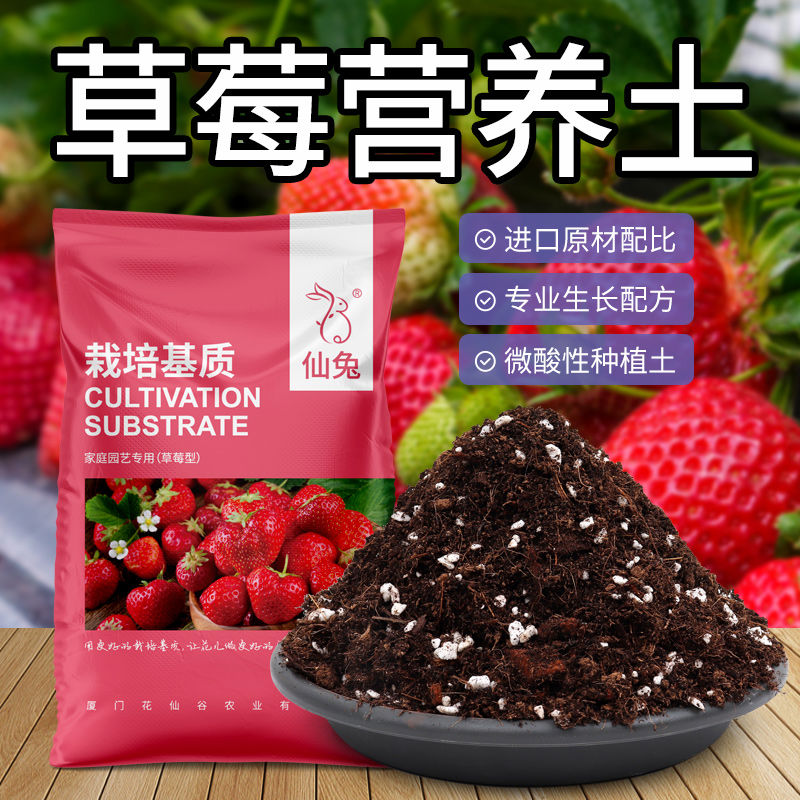 草莓专用土阳台盆栽土壤种植土蓬松透气通用型家用营养土有机