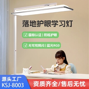 全光谱教室灯护眼落地灯学习书房防眩作业LED灯阅读儿童书桌大路