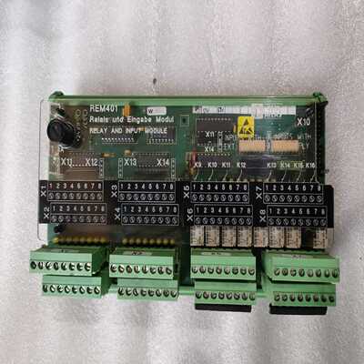 SAM摸块，REM401，DAM401。~询价