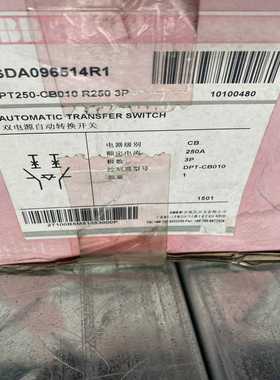 （议价）DPT250-CB010R2503P双电