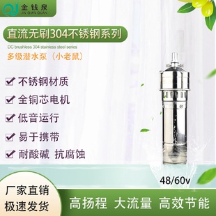 60v小老鼠小型多级潜水农用家用抽水泵 金钱泉直流无刷不锈钢48
