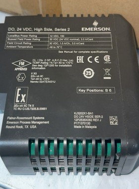 艾默生EMERSONKJ3202X1-BA1模块，DO2--议价商品