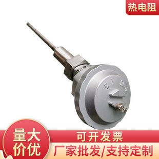 电阻工业用装 PT100热电偶电热阻 配式 热电阻PT100管道密封螺纹铠装