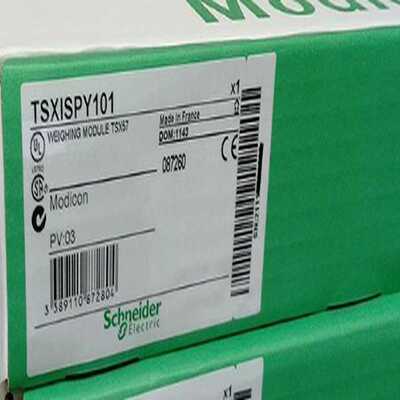 TSXISPY101询价