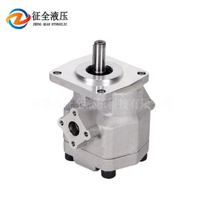 征全HGP F10R液压齿轮油泵增压高压新鸿型微型齿轮汽车机械泵