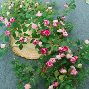 饰仿真花藤花蔓假花吊顶墙面缠绕仿真1.8米奥格斯茶苞 空调管道装