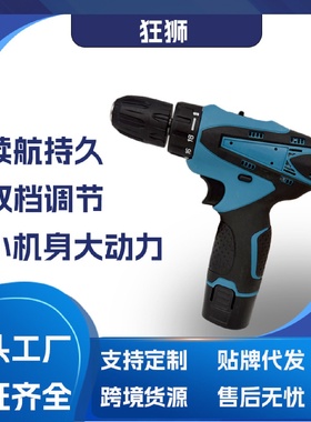 工厂直供12V电钻多功能手电钻锂电电钻电动螺丝刀工具套装
