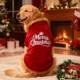 Dog Pet Big Clothes Large Christmas
