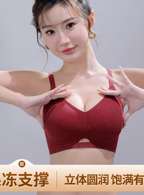 提拉聚拢防下垂奶嘴胶软支撑侧收副乳无痕无钢圈舒适透气文胸罩杯