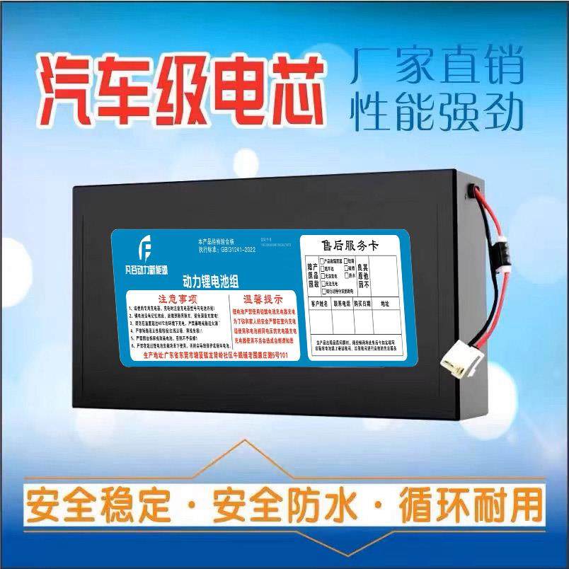 48V锂电池新日爱马电动车电动车锂电池48V12AH大容量天能星恒模块