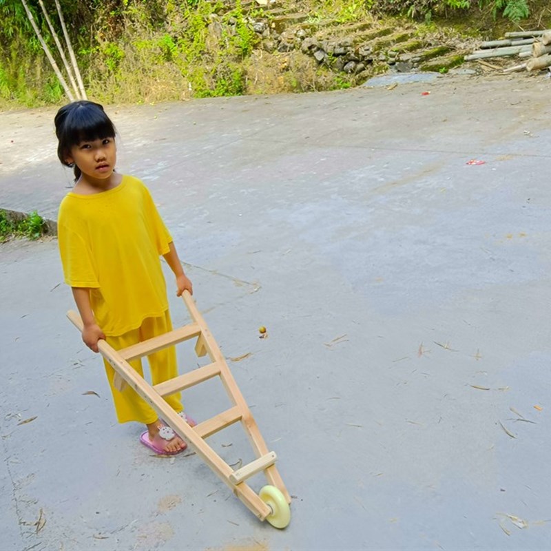 怀旧玩具幼儿园玩具户外玩具木制手推车木头独轮车玩具互动玩具