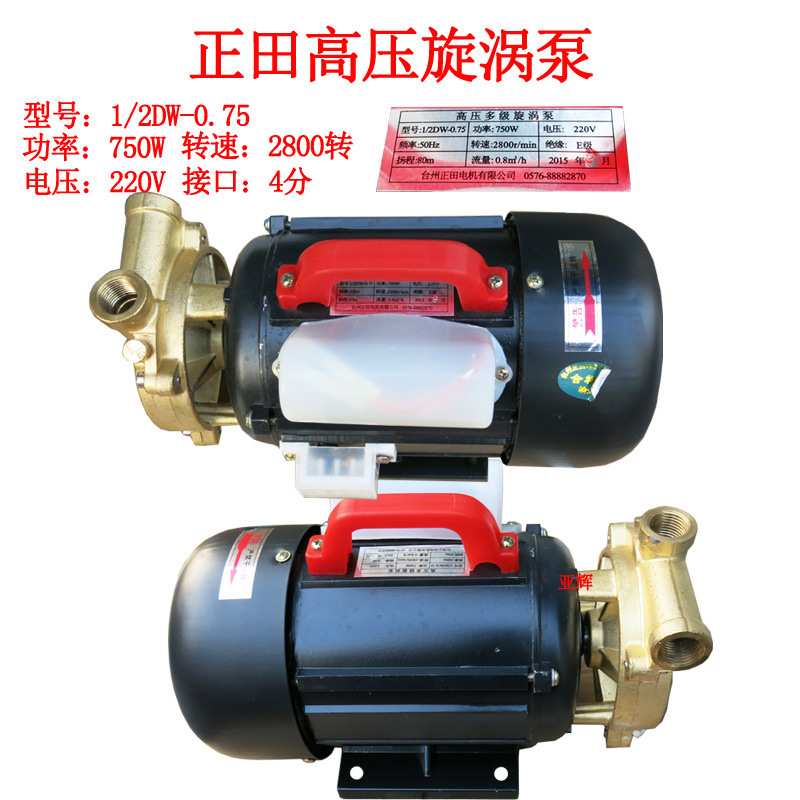 台州正田多级旋涡泵电加热蒸汽发生器锅炉高压漩涡水泵750W