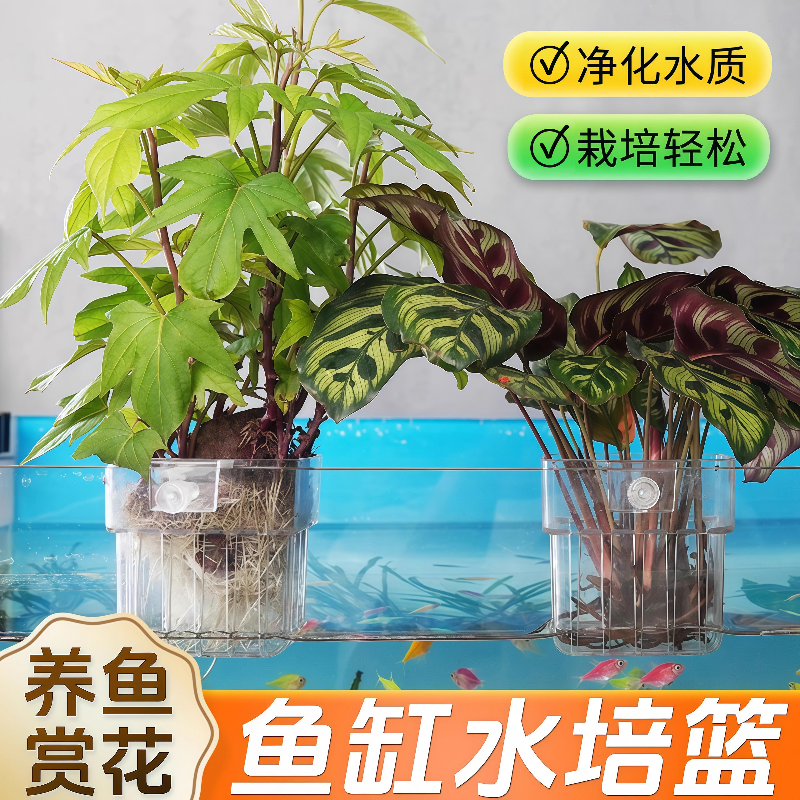 鱼缸水培架定植篮壁挂式固定器