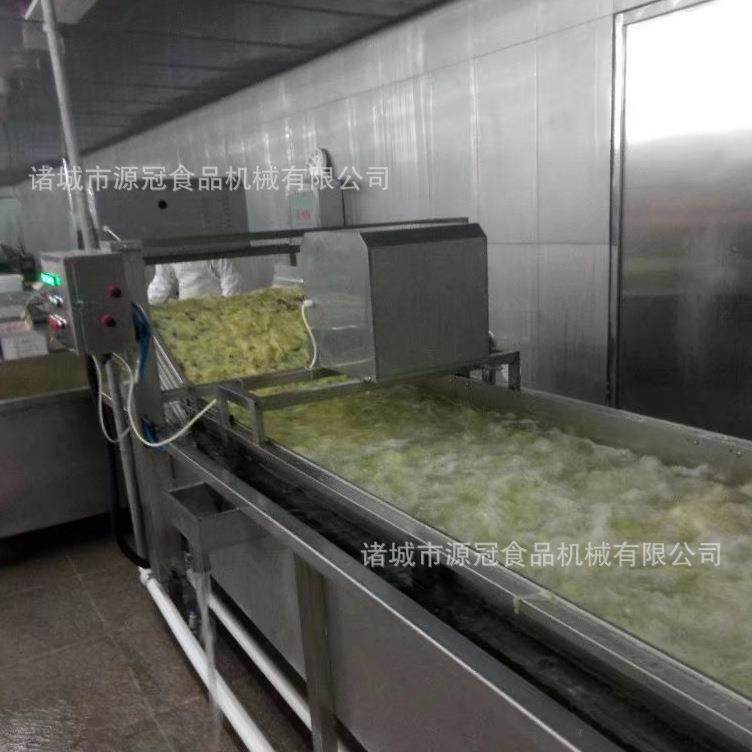 机械果蔬清洗线 菠菜白菜气泡清洗机 葡萄洗果机 不锈钢材质