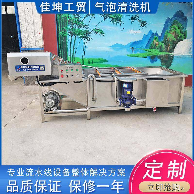 厂家供应 葡萄干加工清洗机 梨气泡清洗机 李子清洗加工设备