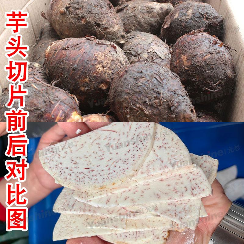 大型果蔬切片机 全自动切片设备 苹果柠檬切片机菠萝脆片切片机