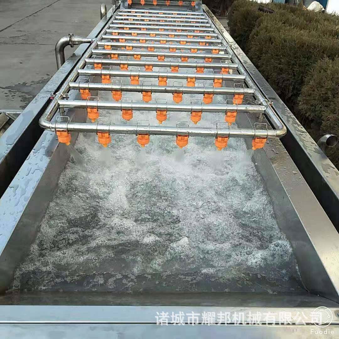 大连400型漩涡振动式清洗机 土豆片清洗机 蔬菜清洗厂家