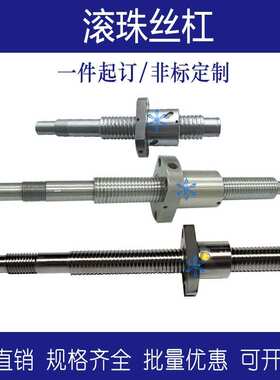 滚珠丝杠SFNHR02010 02020 01205 01210SFKR00802 01002 01004